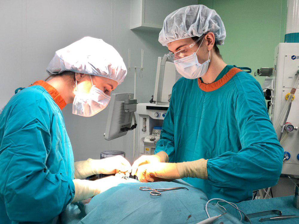 Хирурги «Медицинского города» открывают для себя новые возможности