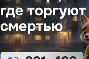 Сообщи, где торгуют смертью