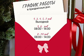 График работы Медицинского города в новогодние праздники